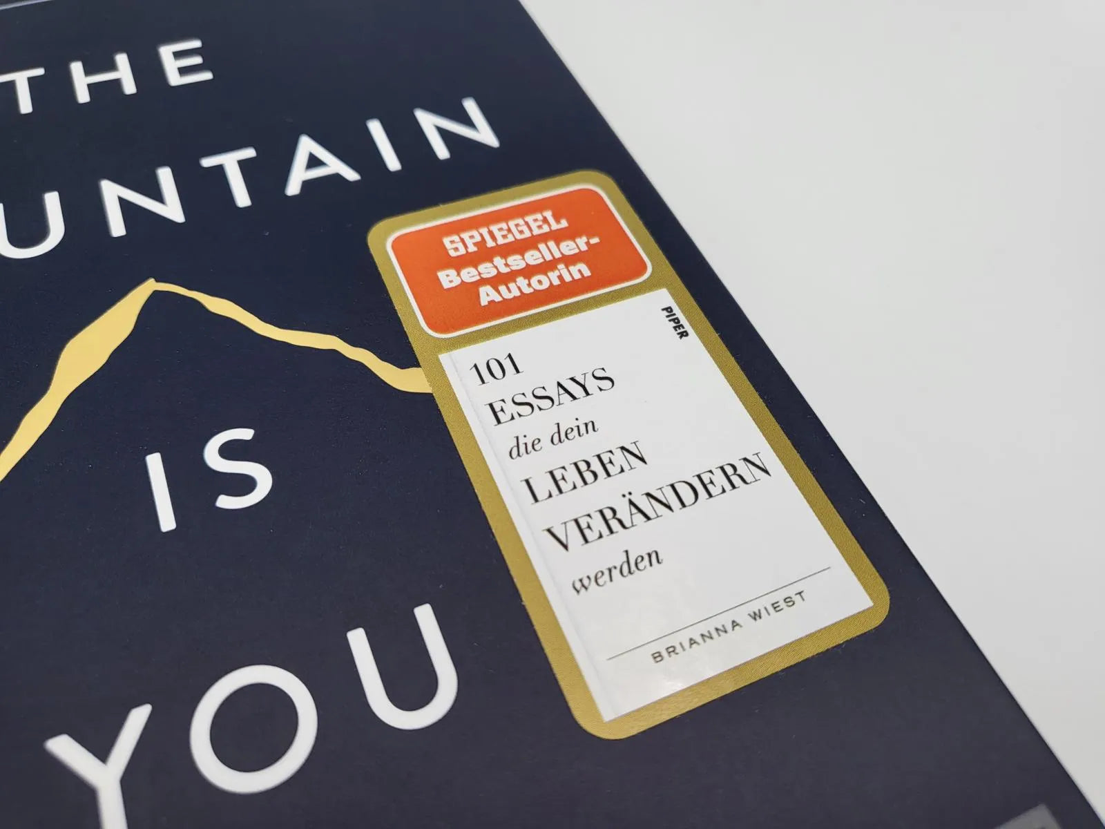 Detailansicht: The Mountain Is You (Hardcover)