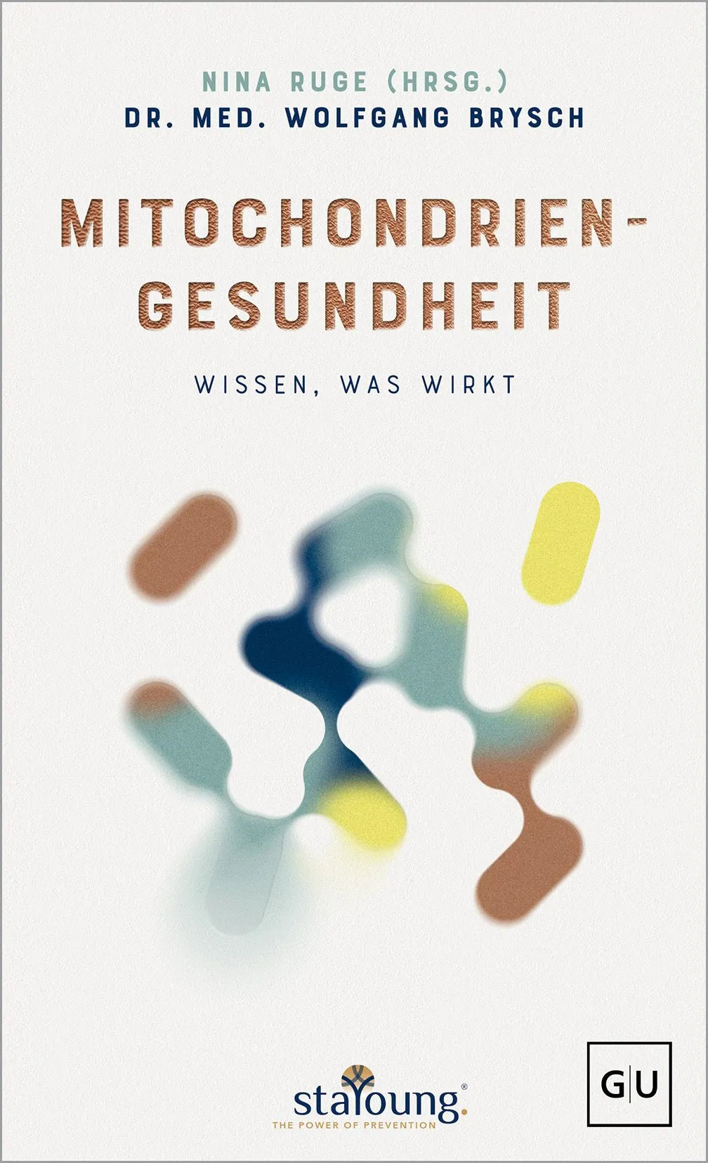 Cover: The Power of Prevention: Mitochondriengesundheit (Hardcover) von Wolfgang Brysch