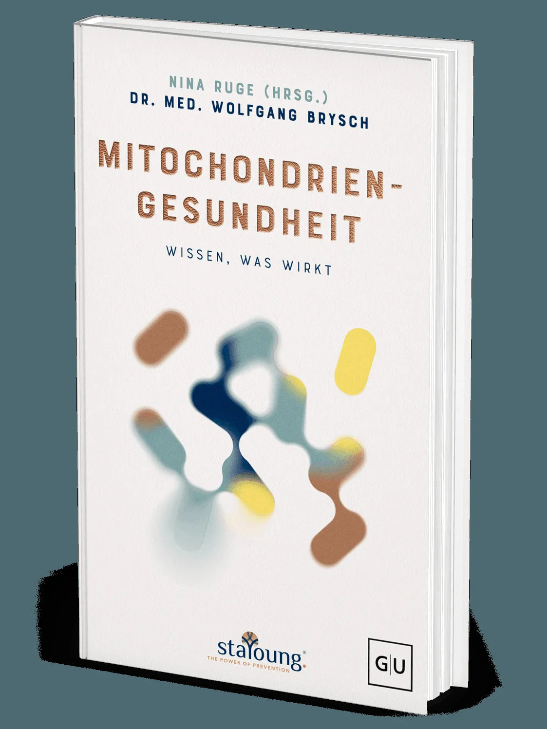 Cover: The Power of Prevention: Mitochondriengesundheit (Hardcover) von Wolfgang Brysch