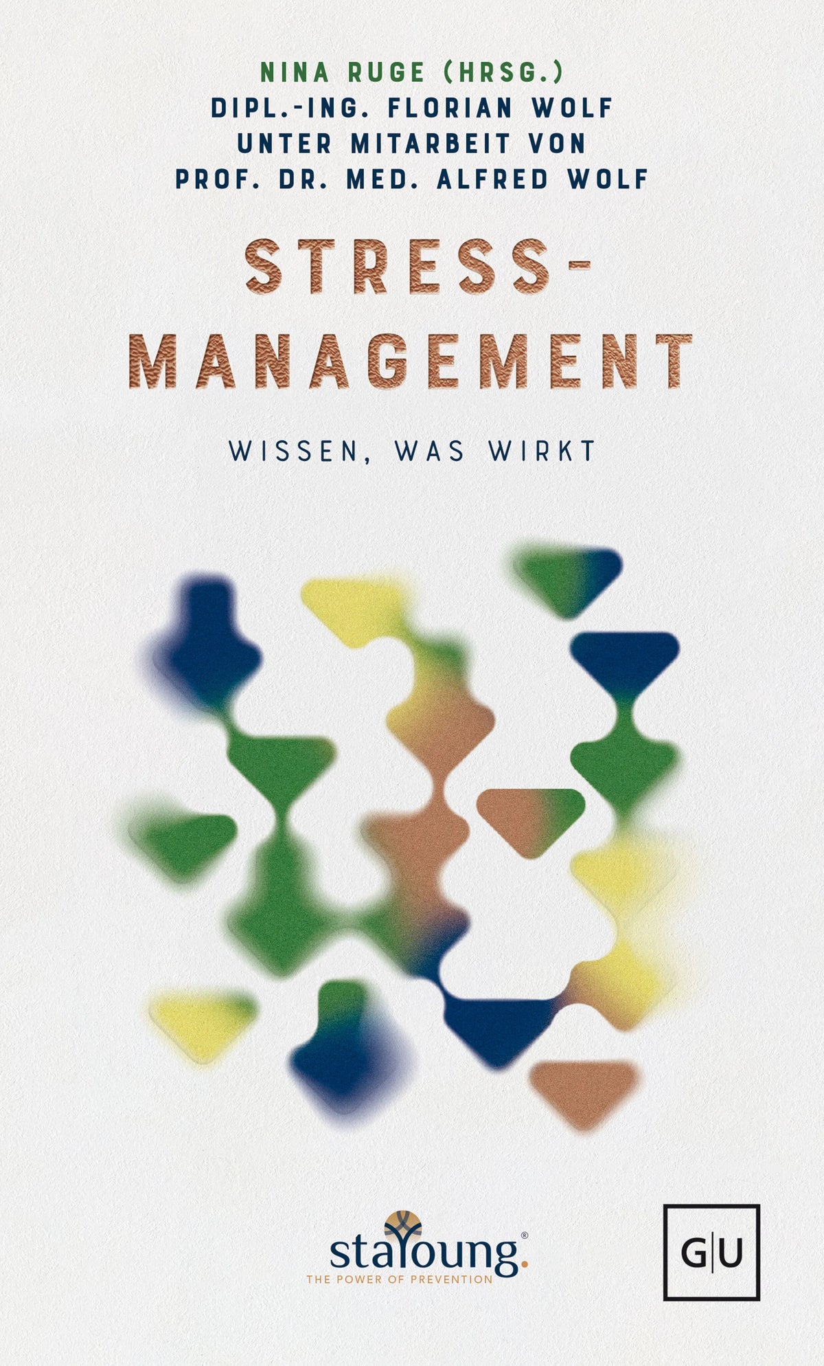 Cover: The Power of Prevention: Stressmanagement (Hardcover) von Florian Wolf