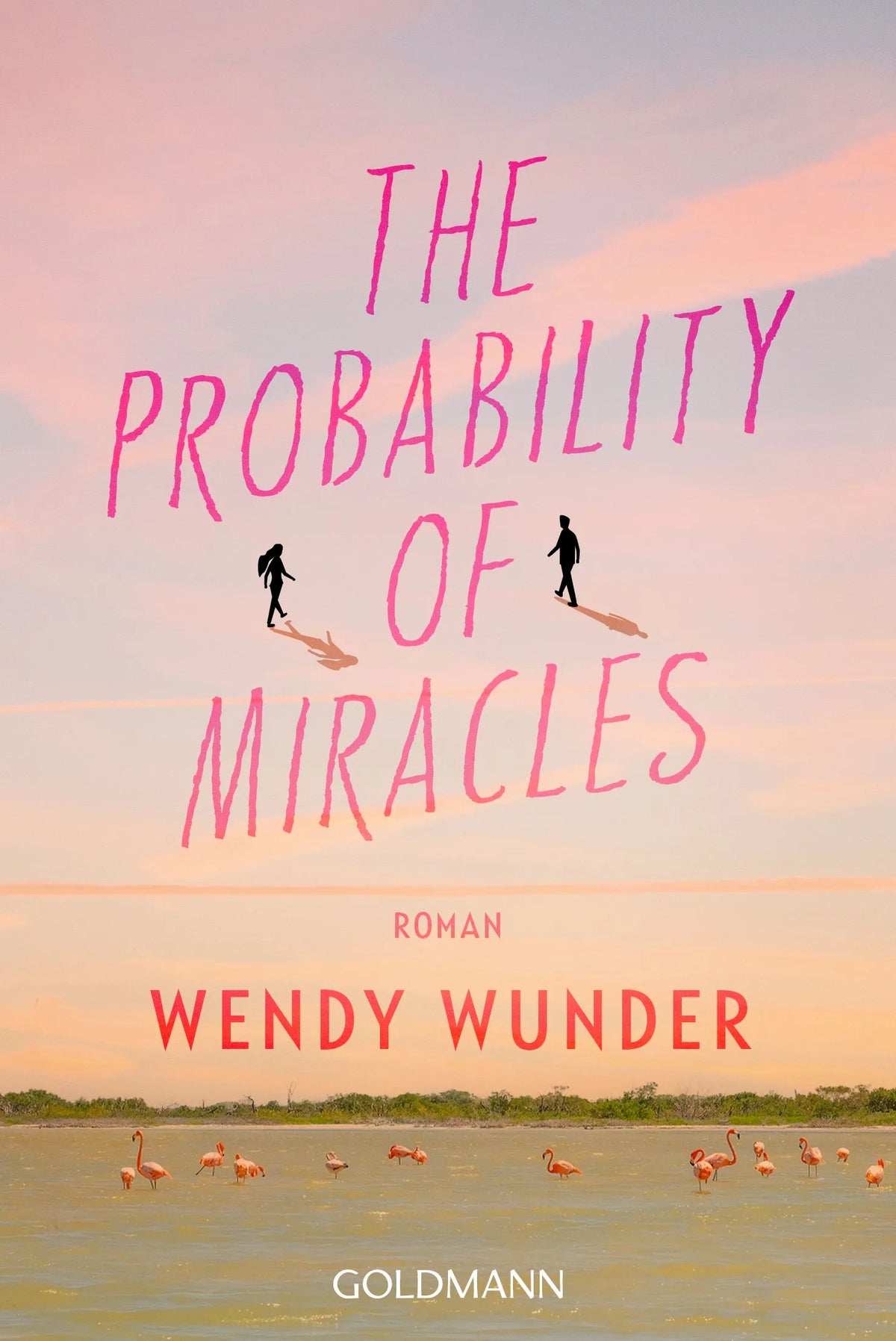 Cover: The Probability Of Miracles (Taschenbuch) von Wendy Wunder