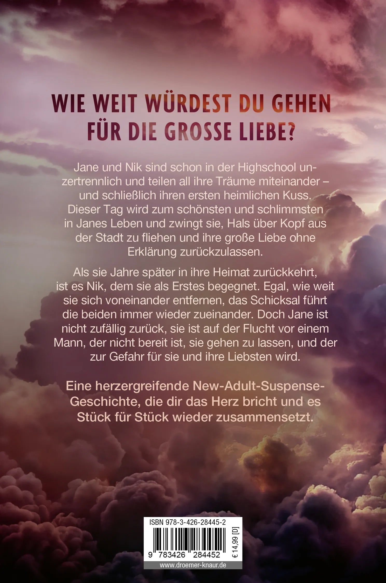 Buchrückseite von 'The Storm in Our Hearts' mit Klappentext - Taschenbuch