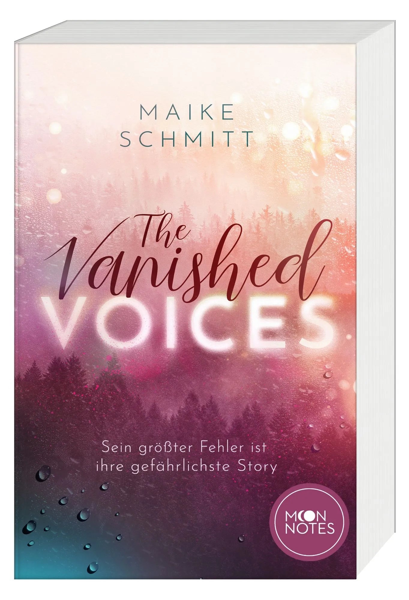 Cover: The Vanished Voices (Taschenbuch) von Maike Schmitt