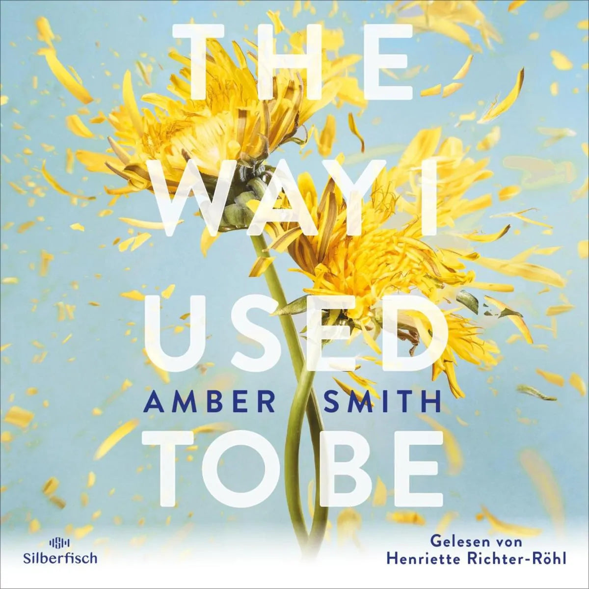 Cover: The way I used to be (Hörbuch Download) von Amber Smith