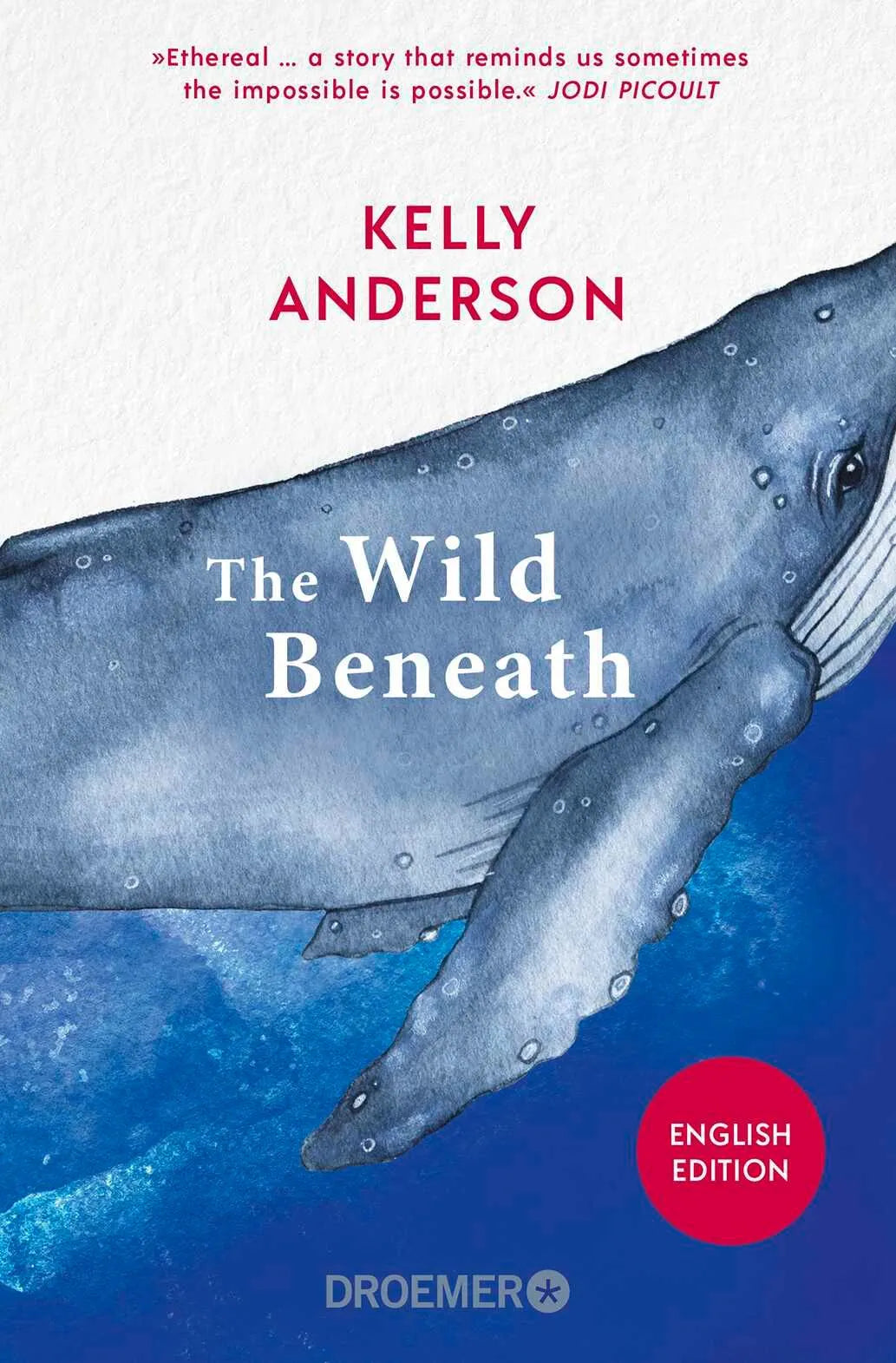 Cover: The Wild Beneath English Edition (Taschenbuch) von Kelly Anderson