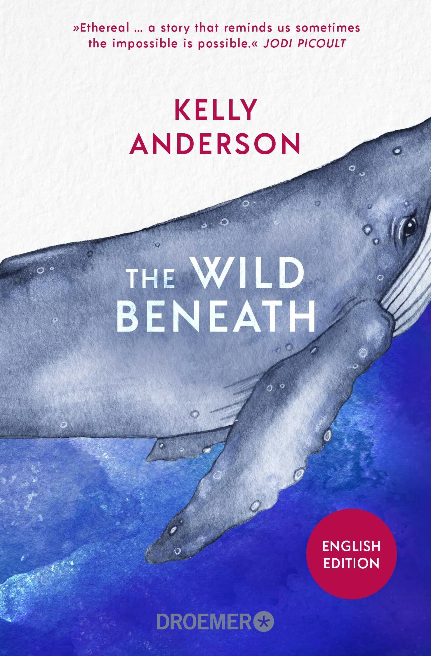 Cover: The Wild Beneath English Edition (Taschenbuch) von Kelly Anderson
