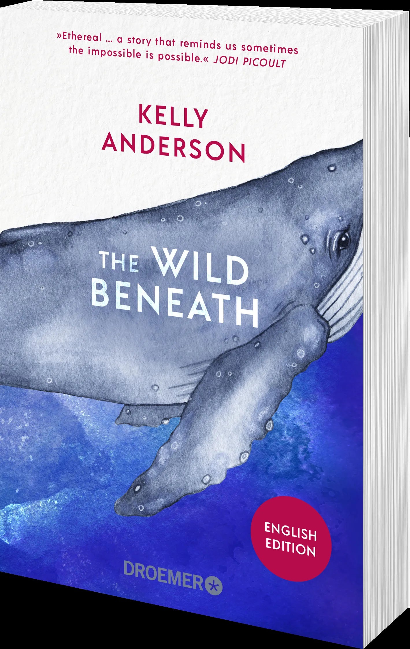 Detailansicht: The Wild Beneath English Edition (Taschenbuch)