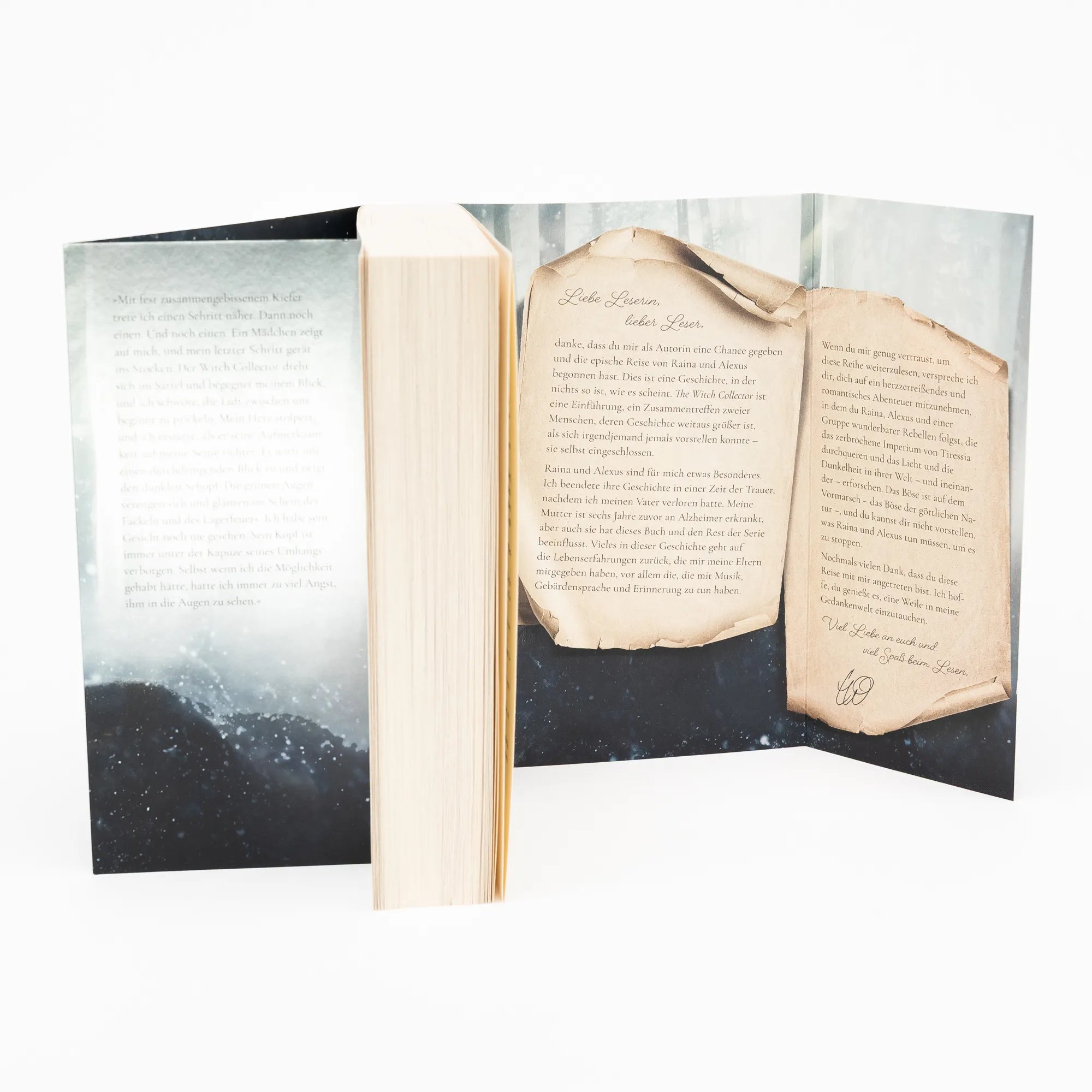 Abbildung von 'The Witch Collector'