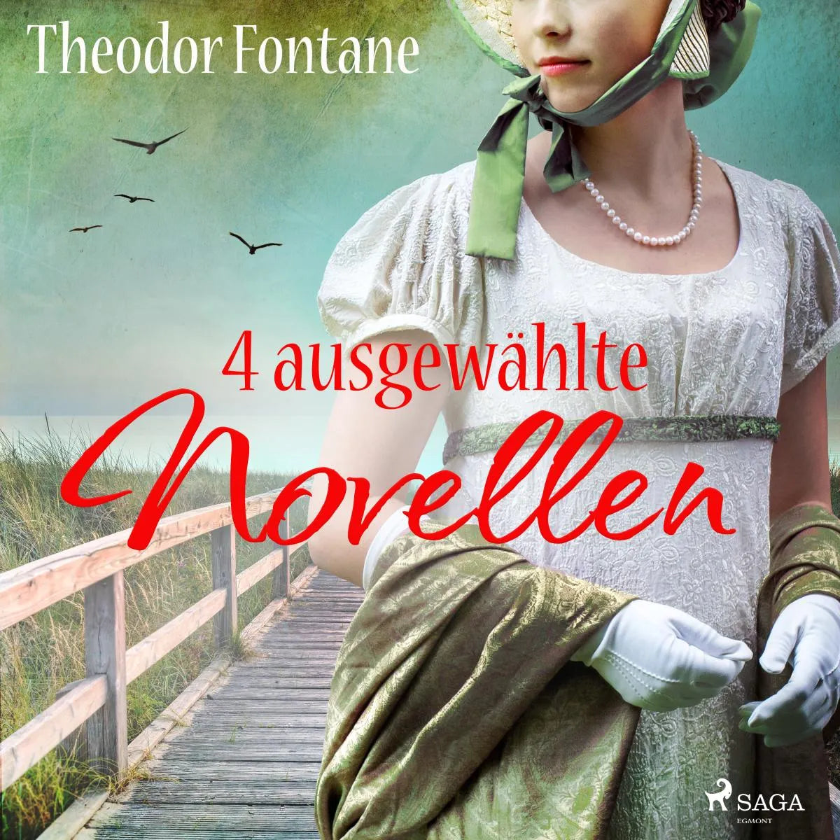 Cover: Theodor Fontane - 4 ausgewählte Novellen (Hörbuch Download)