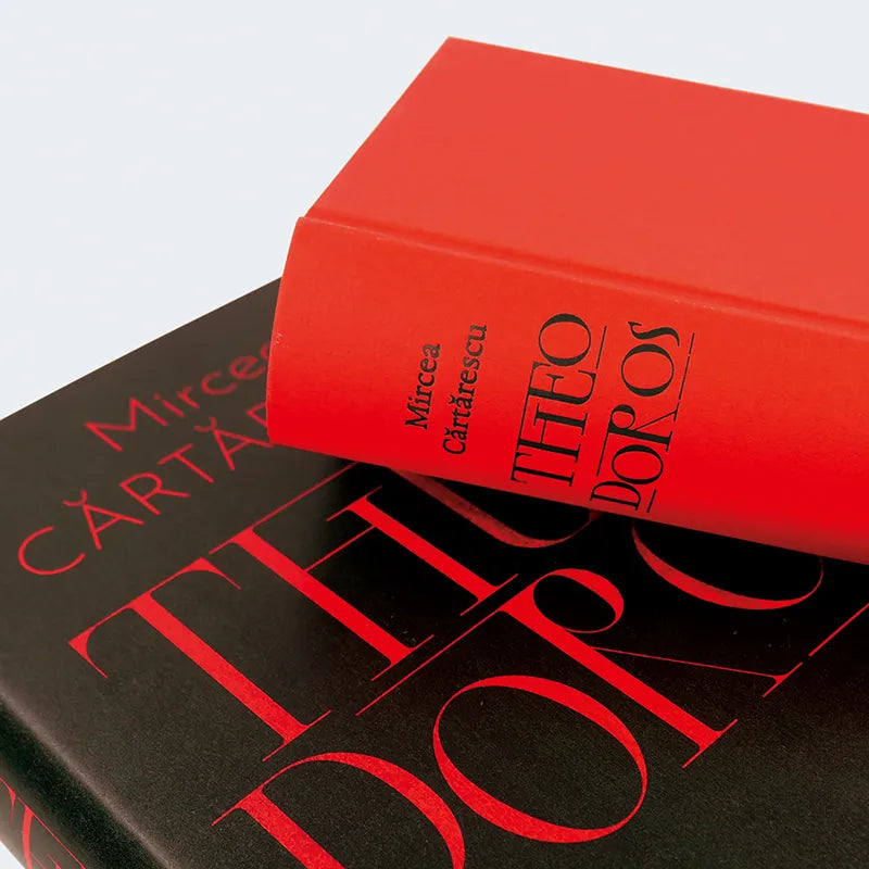 Abbildung von 'Theodoros'