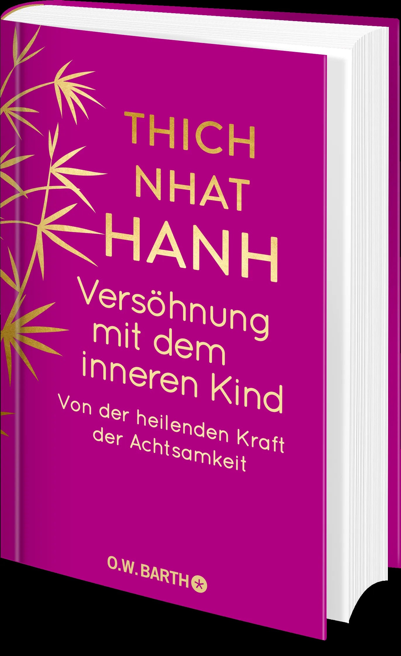 Produktansicht: Versöhnung mit dem inneren Kind (Gebundene Ausgabe)