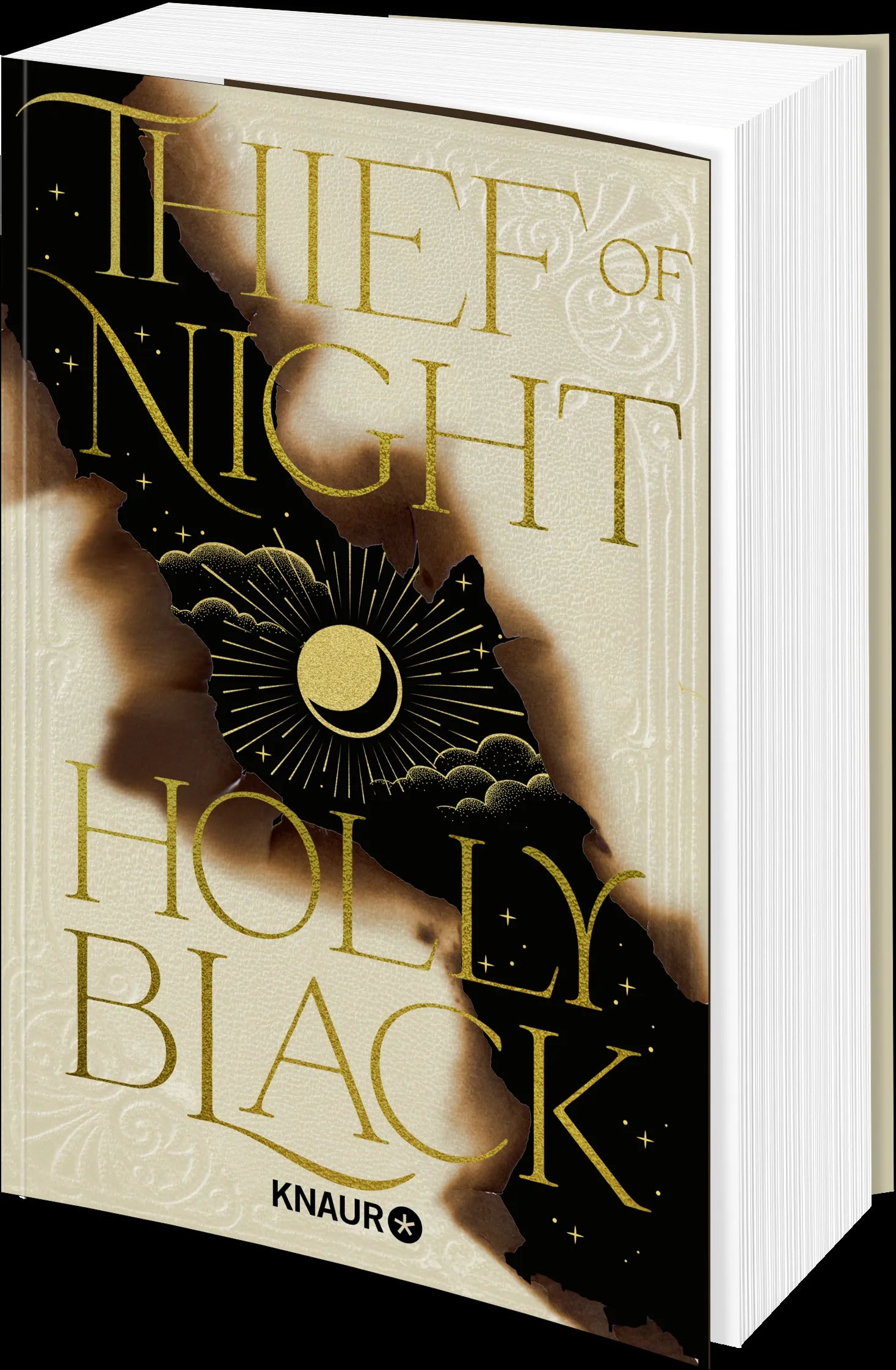 Holly Black - Thief of Night