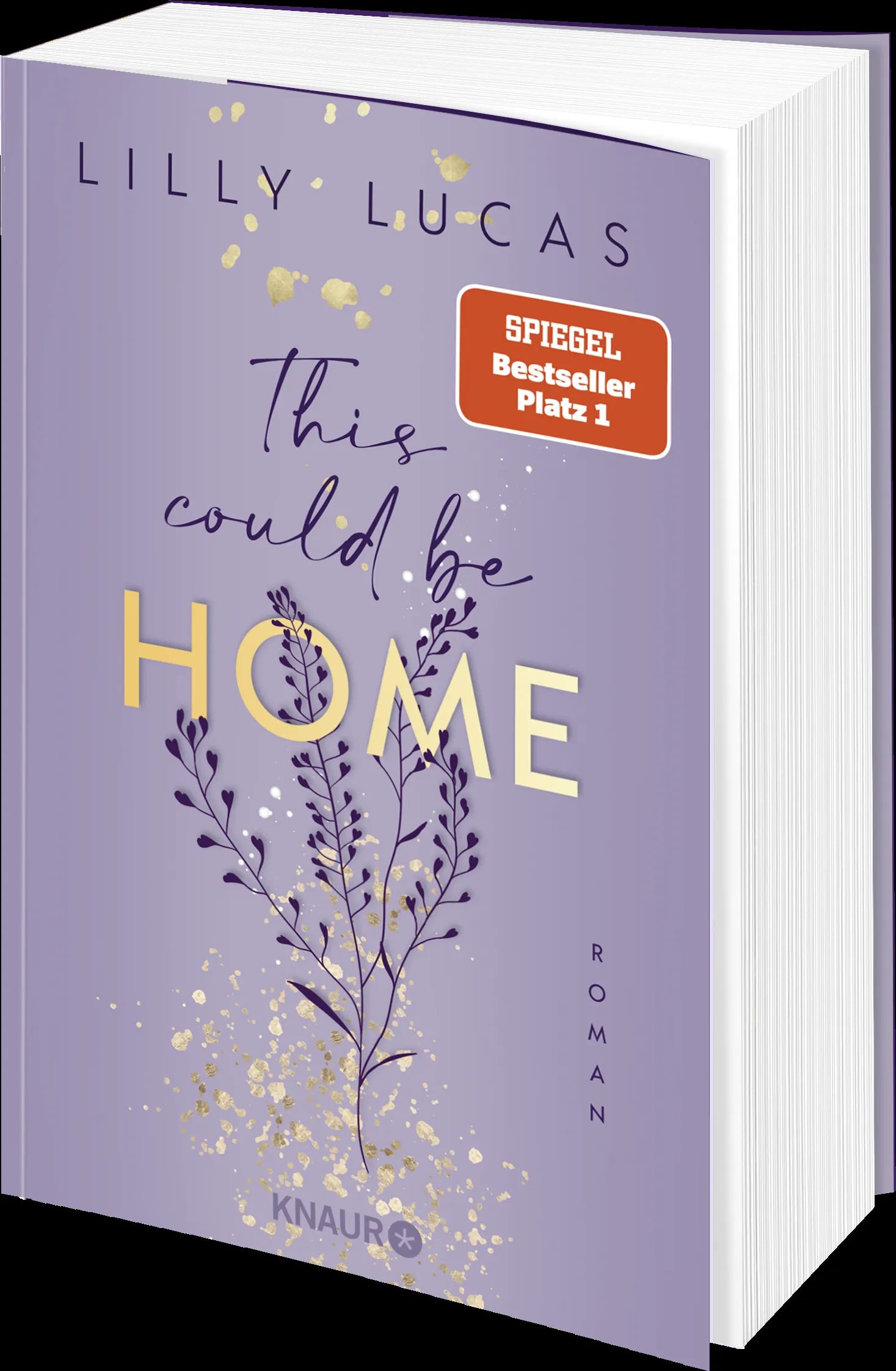 Detailansicht: This could be home (Paperback)