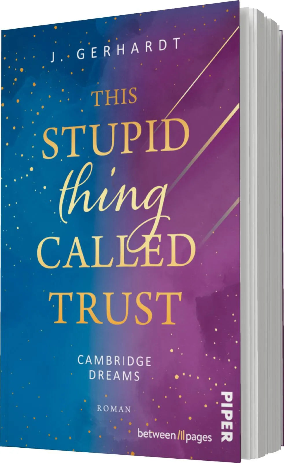 J. Gerhardt - This stupid Thing called Trust