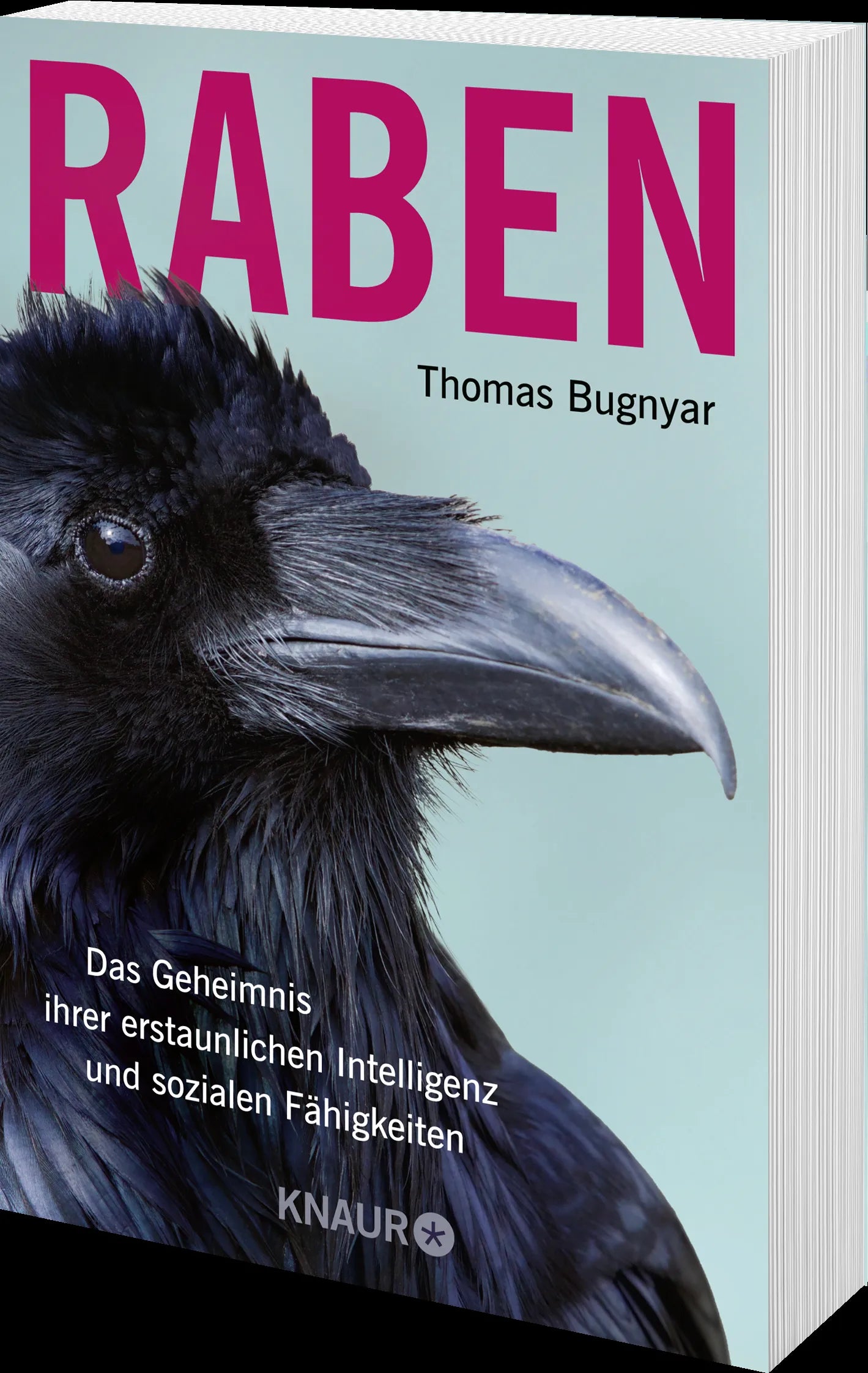 Produktansicht: Raben (Taschenbuch)