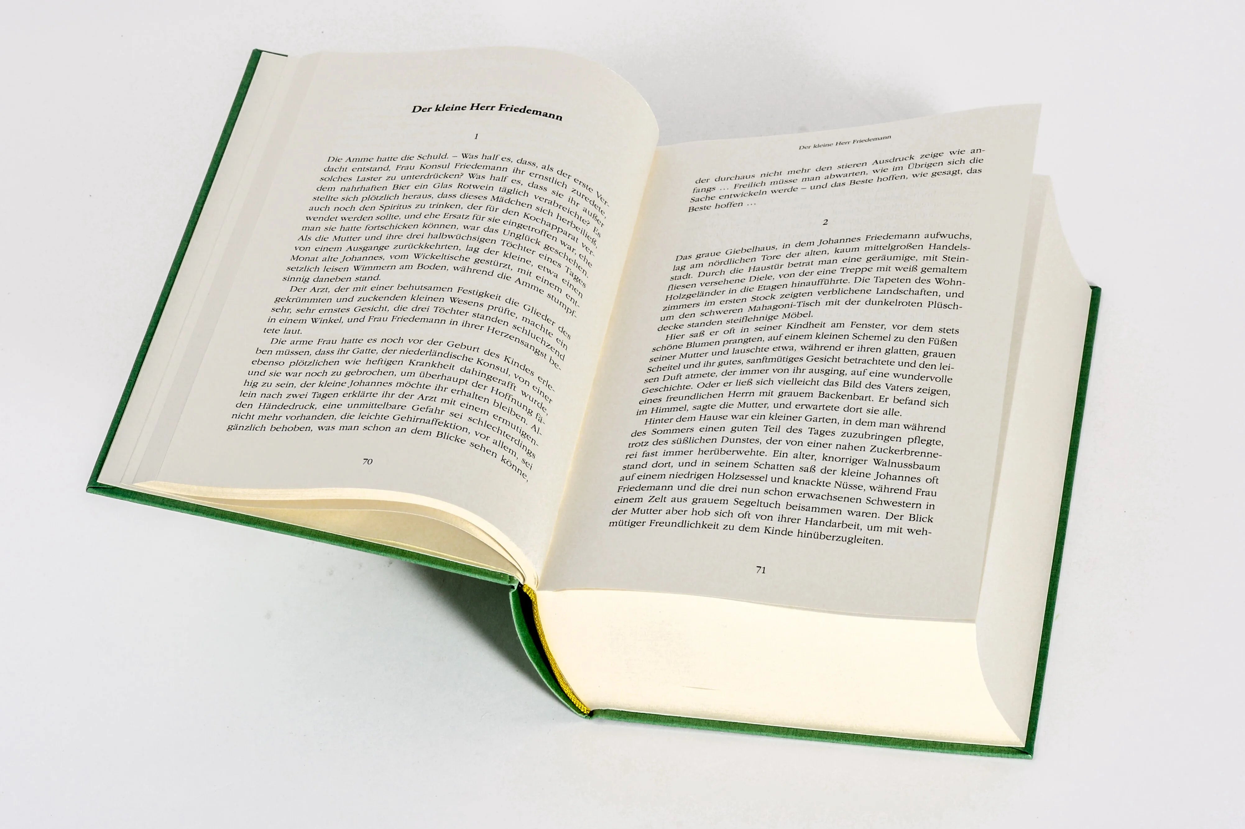 Detailansicht: Thomas Mann, Gesammelte Werke: Die Erzählungen (Hardcover)