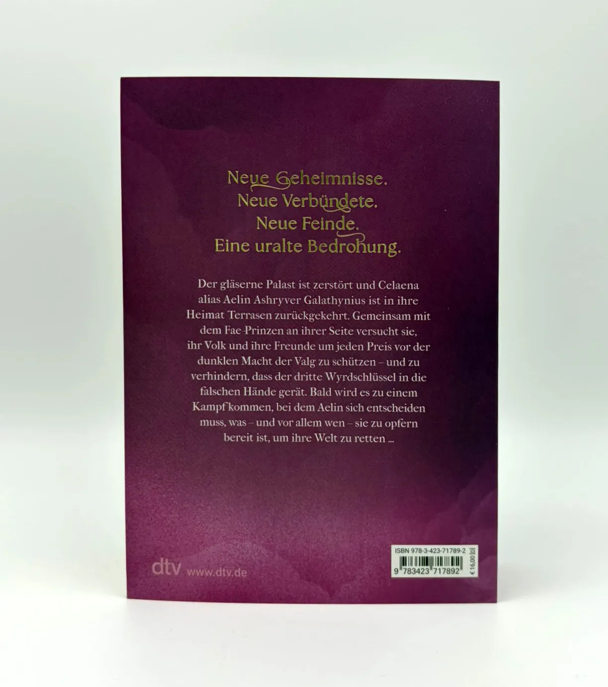 Produktansicht: Throne of Glass – Die Sturmbezwingerin (Taschenbuch)
