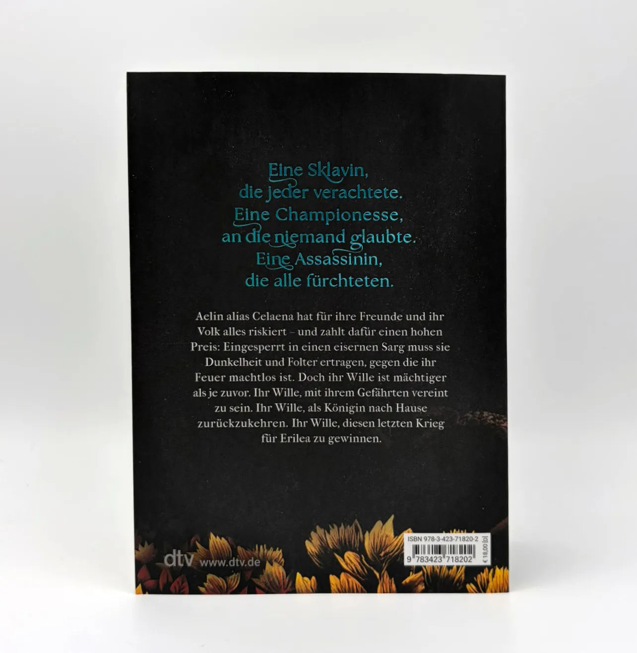 Abbildung von 'Throne of Glass – Herrscherin über Asche und Zorn'