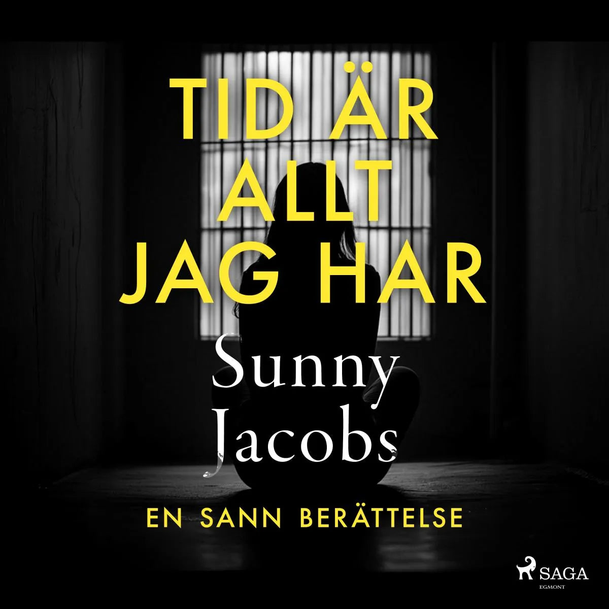 Cover: Tid är allt jag har (Hörbuch Download) von Sunny Jacobs