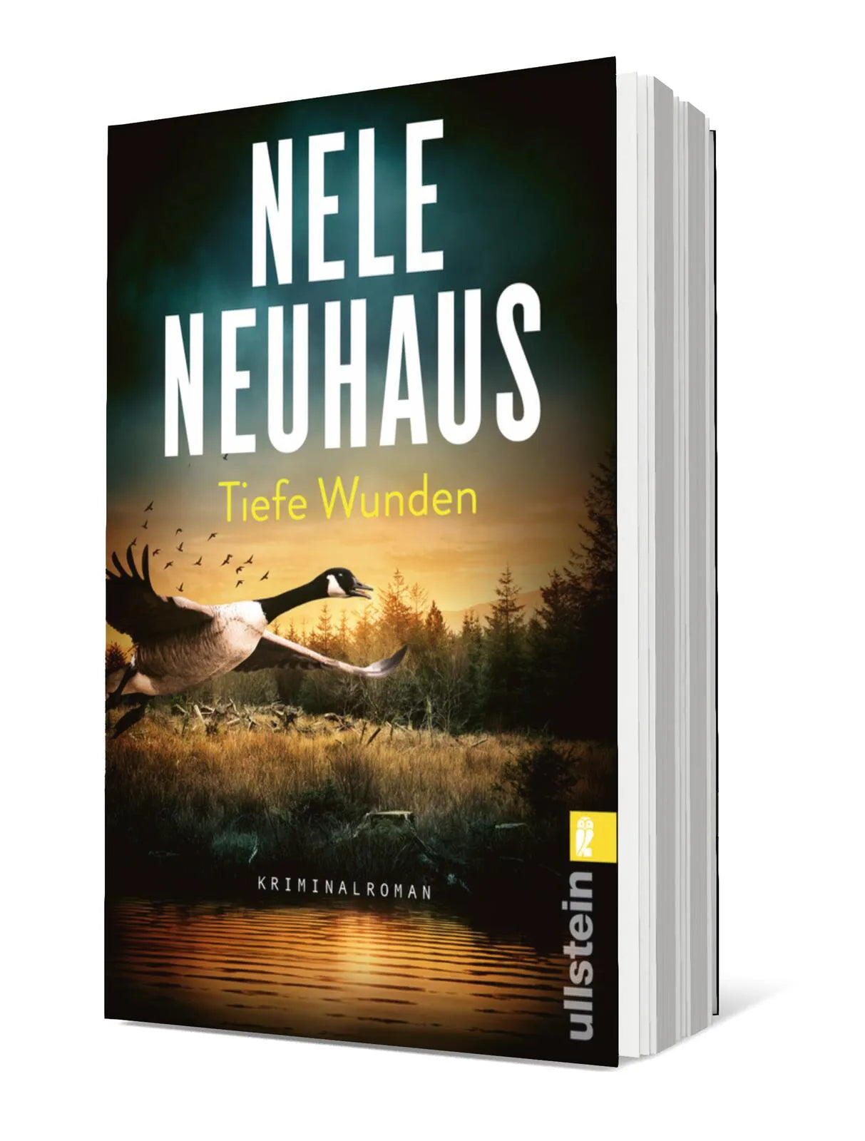 Produktansicht: Tiefe Wunden (Taschenbuch)