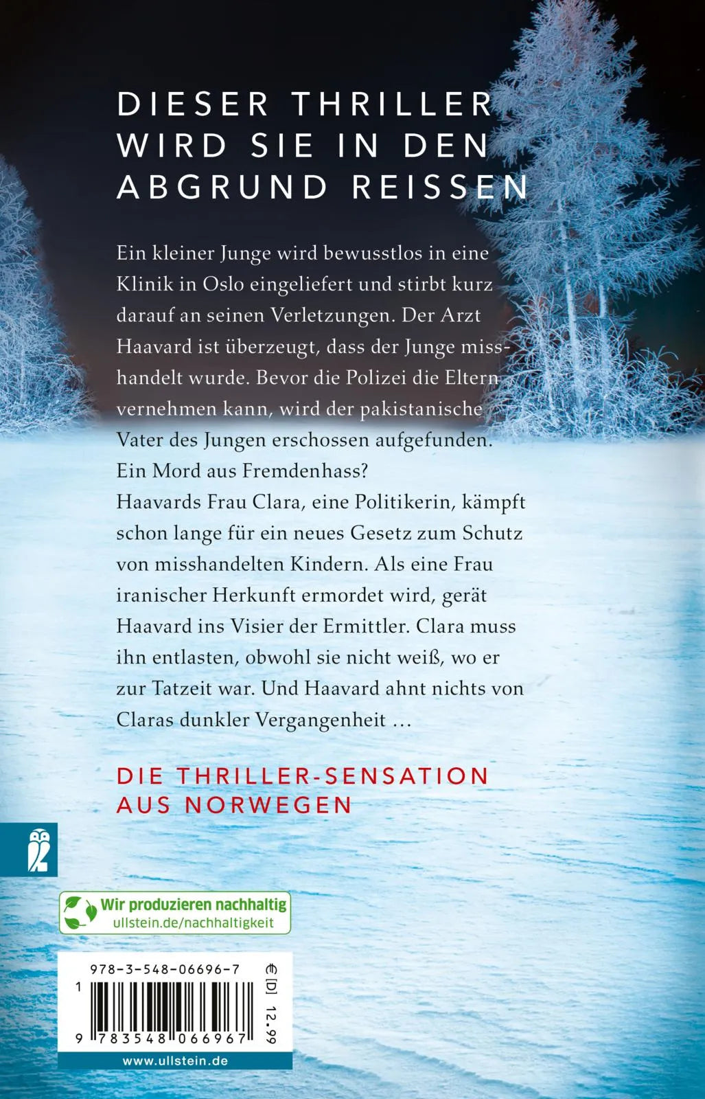 Rückseite: Tiefer Fjord (Taschenbuch)
