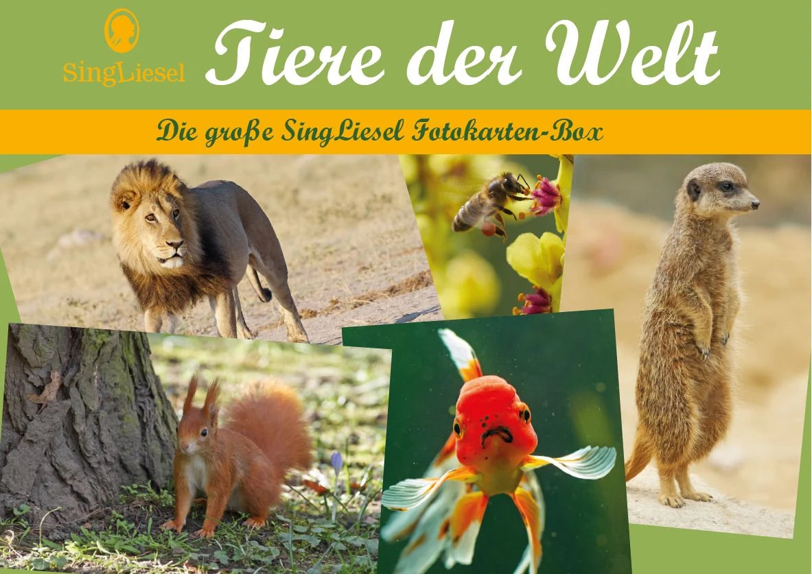 Gesellschaftsspiel: Tiere der Welt - Fotokarten für Senioren