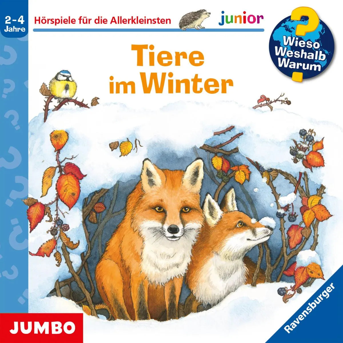 Cover: Tiere im Winter (Hörbuch Download) von Andrea Erne