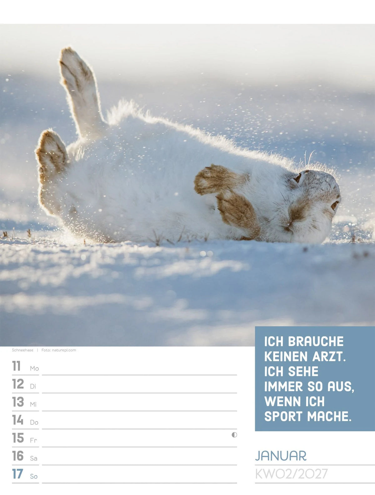 Tierisch Sprüchekalender Wochenplaner 2027 – Ansicht