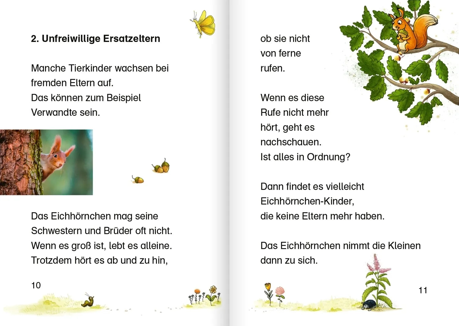 Abbildung von 'Tierkinder im Wald'