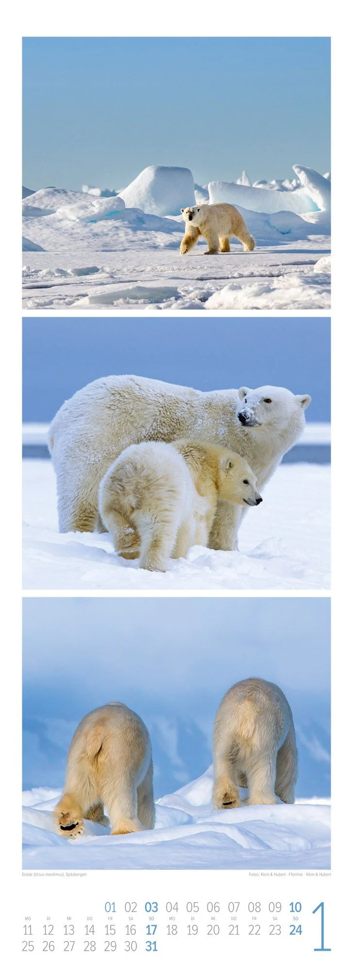 Tierwelten Triplet-Kalender 2027 | Artenvielfalt & Lebensräume – Ansicht