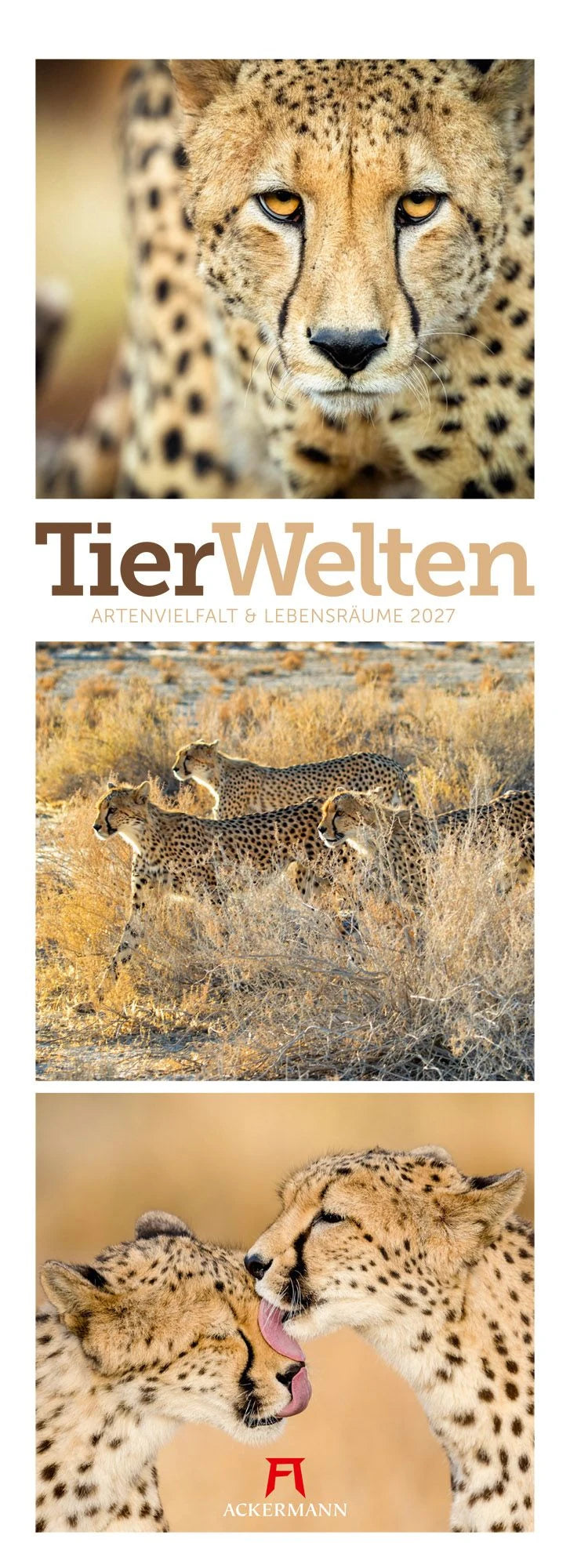 Wandkalender: Tierwelten Triplet-Kalender 2027 | Artenvielfalt & Lebensräume