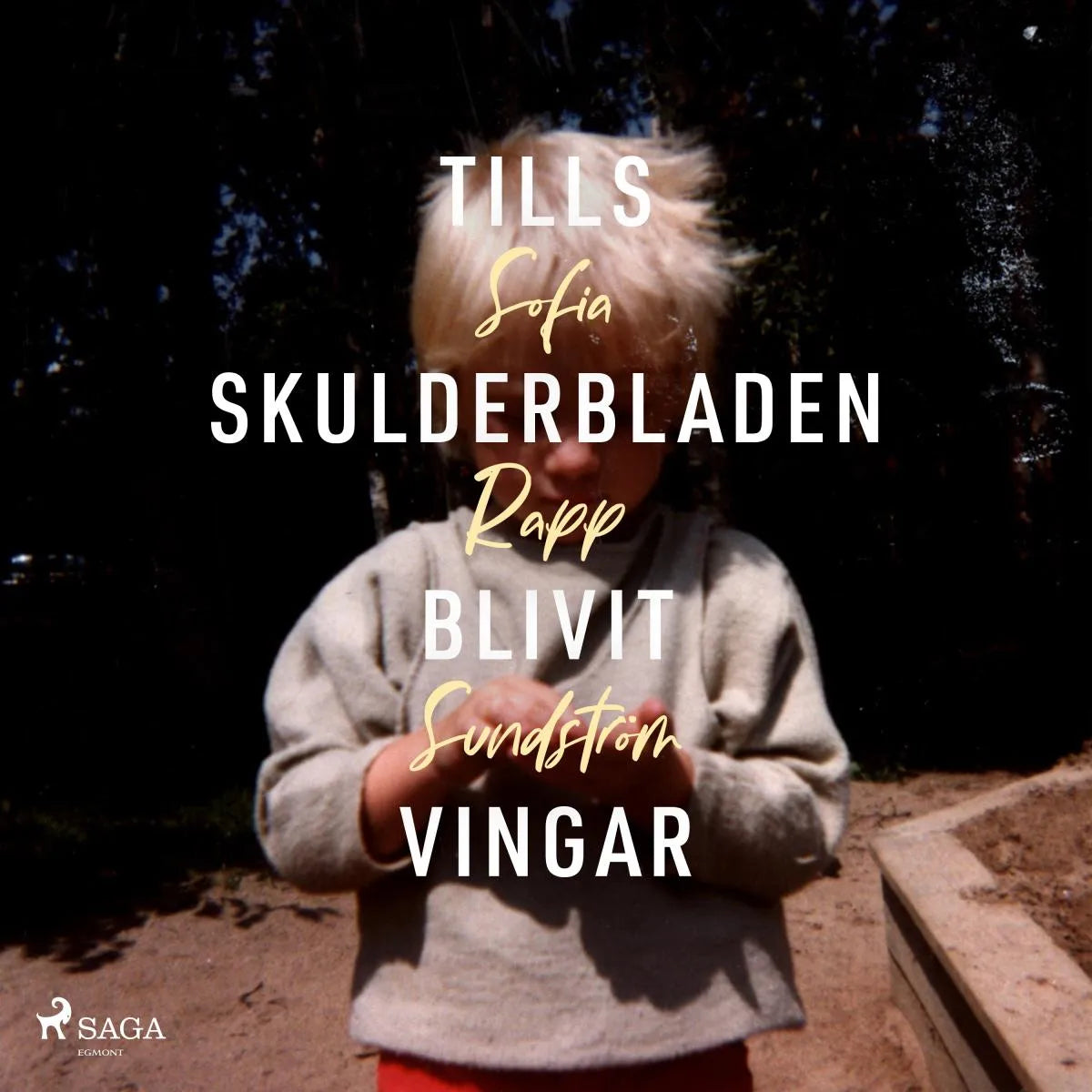 Cover: Tills skulderbladen blivit vingar (Hörbuch Download) von Sofia Rapp Sundström