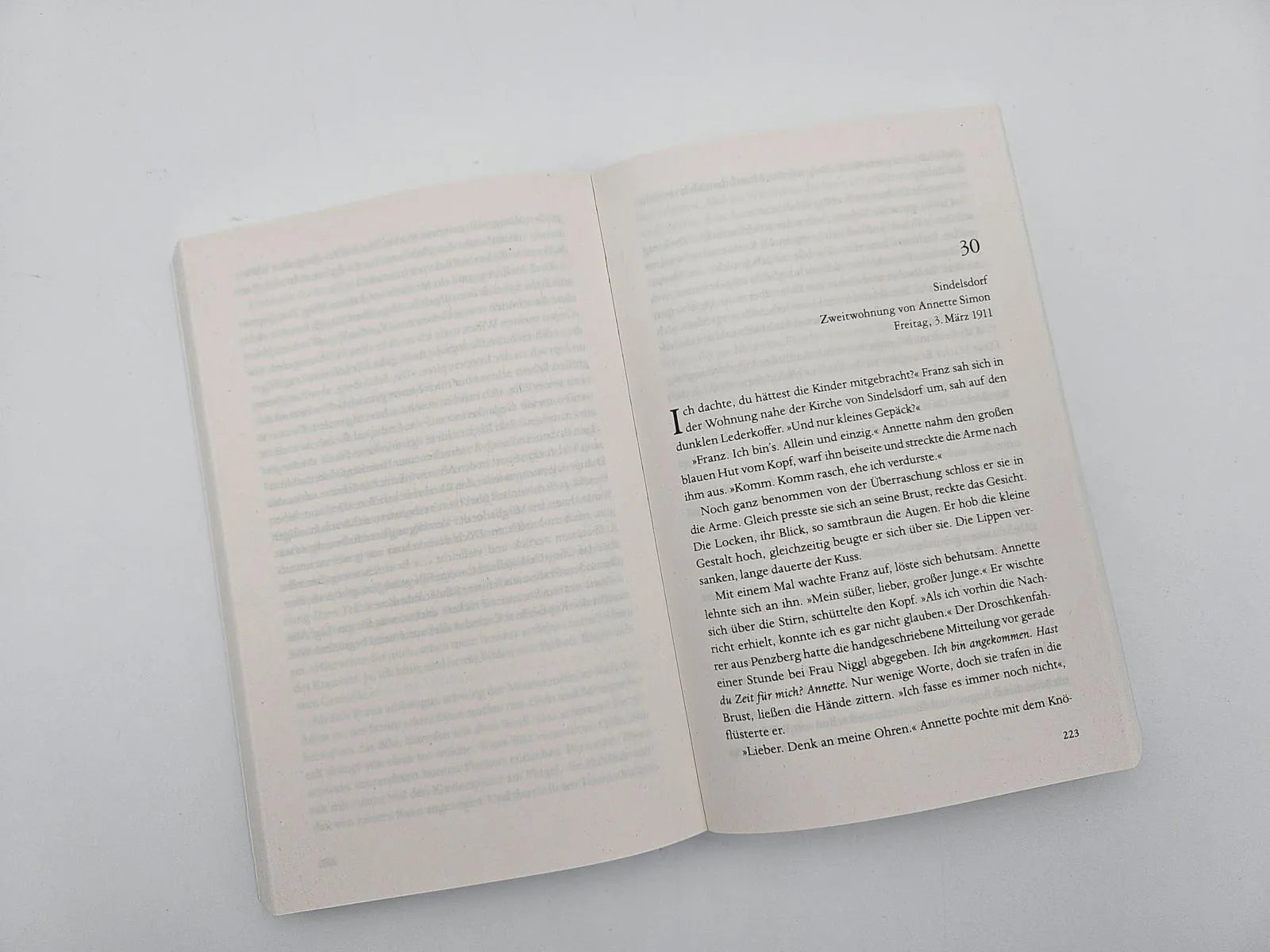 Produktansicht: Der Maler und das reine Blau des Himmels (Taschenbuch)