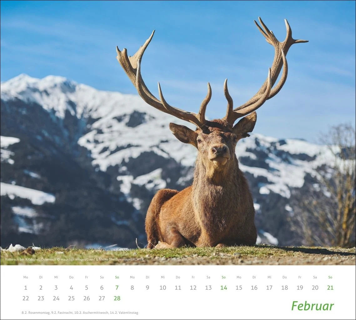 times&more Alpen Bildkalender 2027 – Ansicht