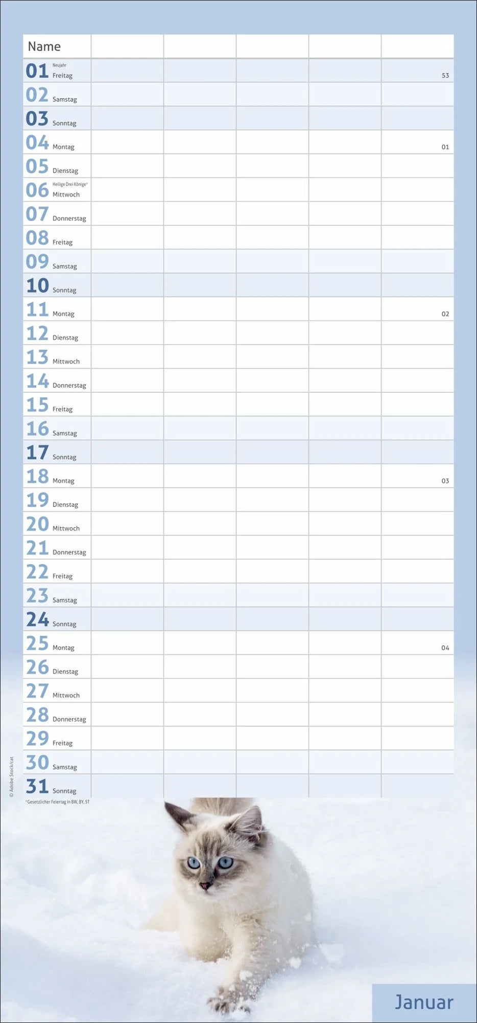 times&more Katzen Familienplaner 2027 – Ansicht