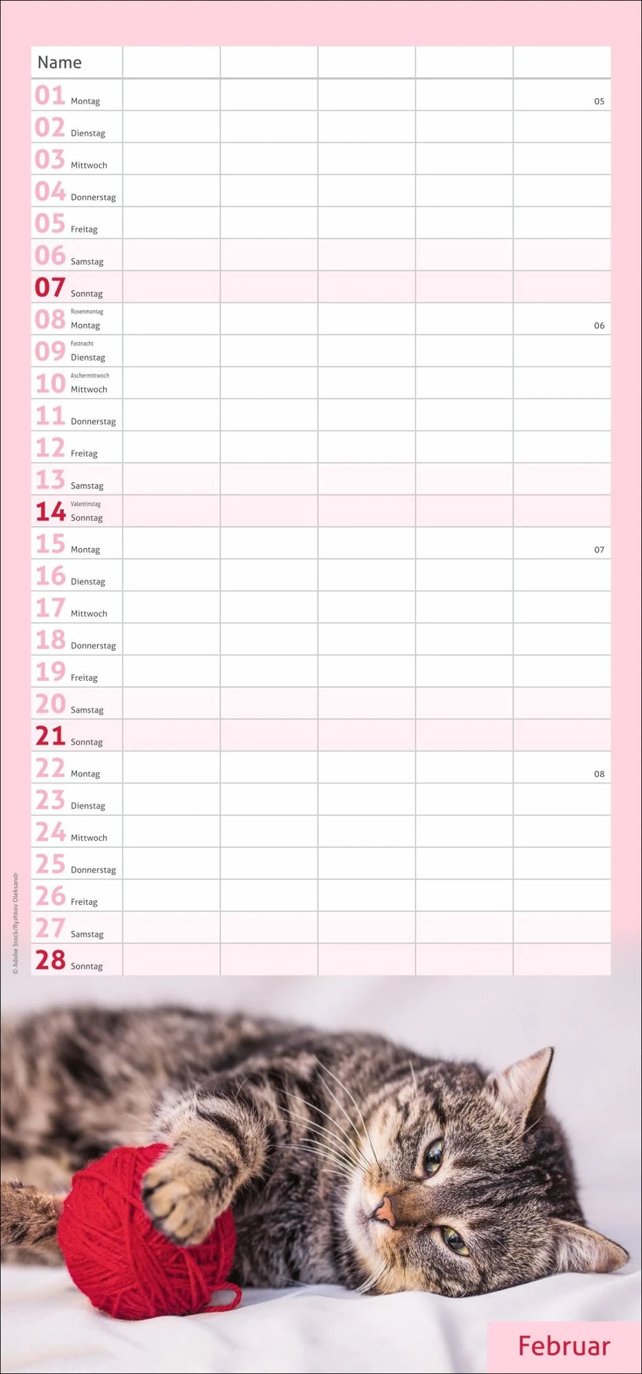 times&more Katzen Familienplaner 2027 – Ansicht