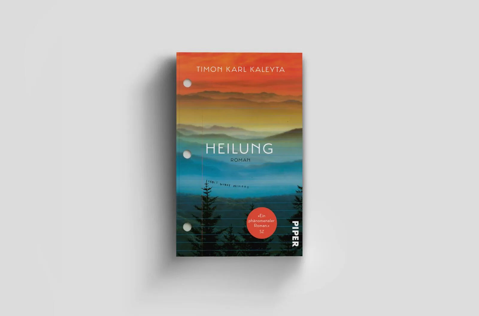 Produktansicht: Heilung (Taschenbuch)