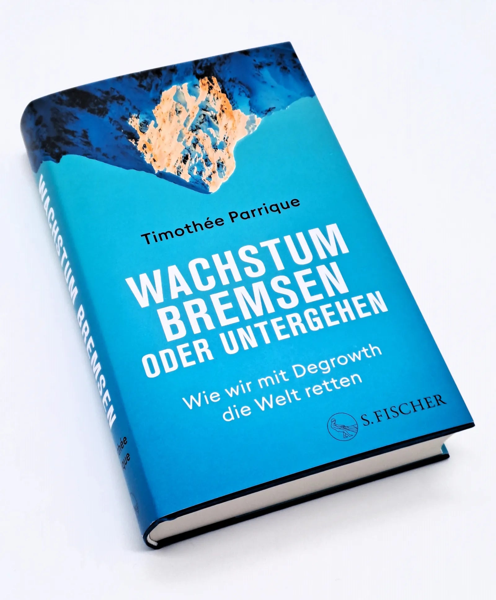 Produktansicht: Wachstum bremsen oder untergehen (Gebundene Ausgabe)