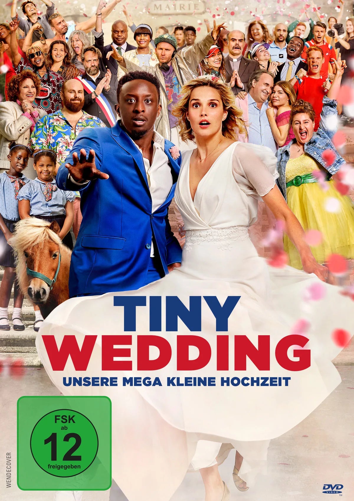 Tiny Wedding - Unsere mega kleine Hochzeit - DVD