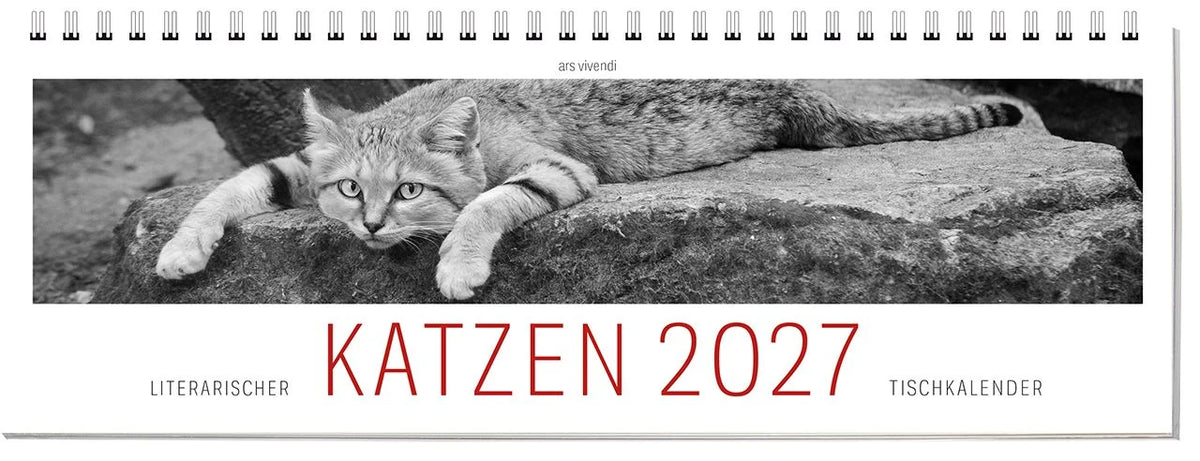 Tischkalender: Tischkalender Katzen 2027