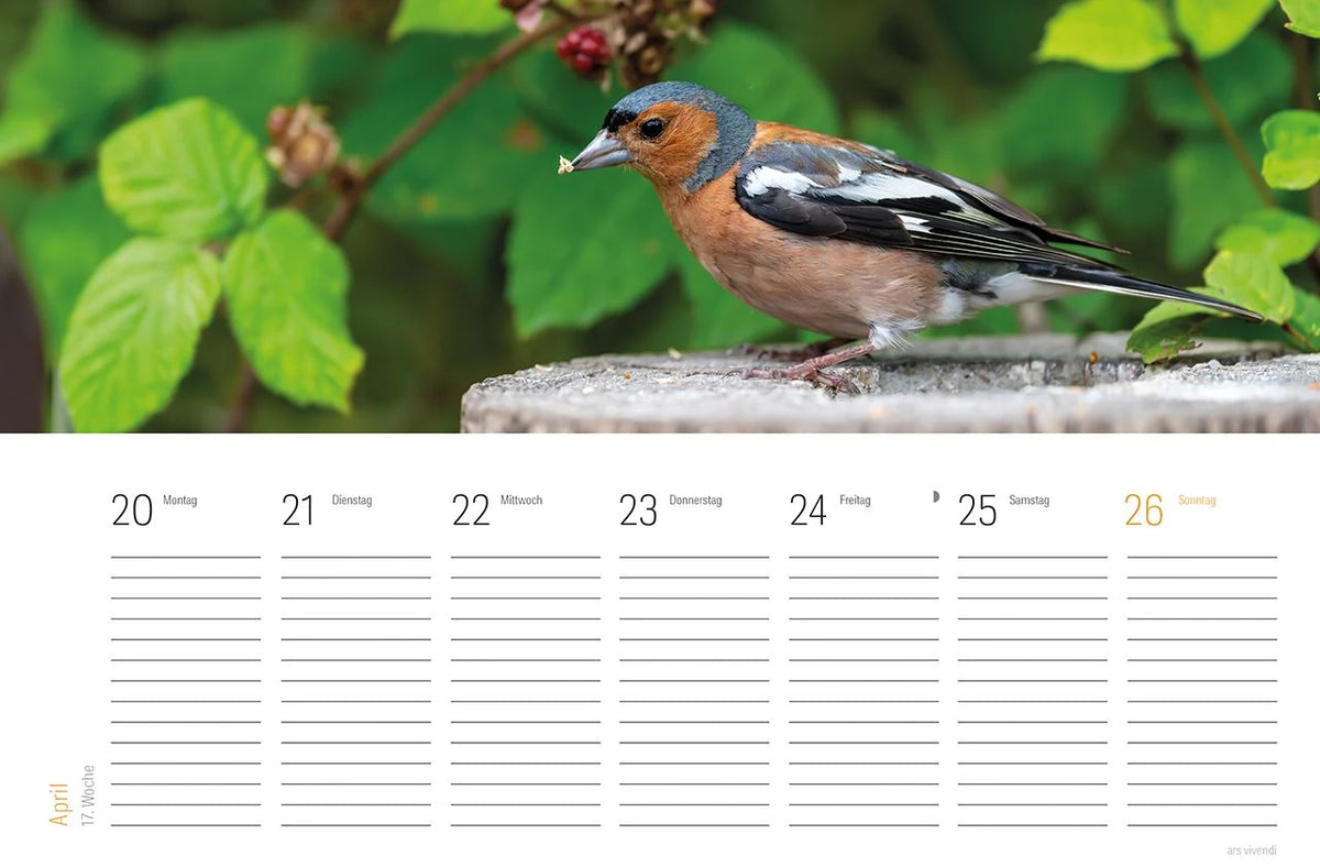 Tischkalender Vogel 2027 – Ansicht