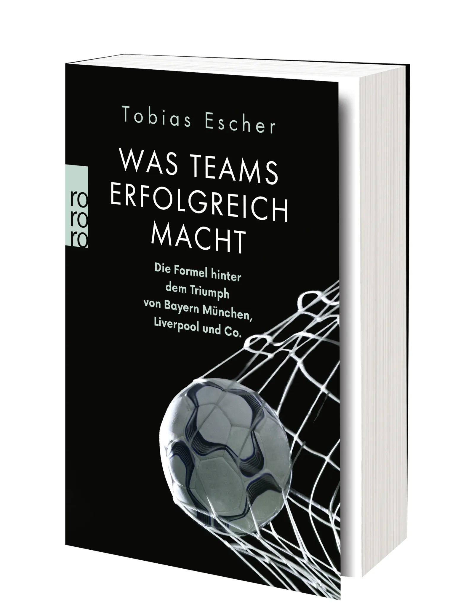 Produktansicht: Was Teams erfolgreich macht (Taschenbuch)