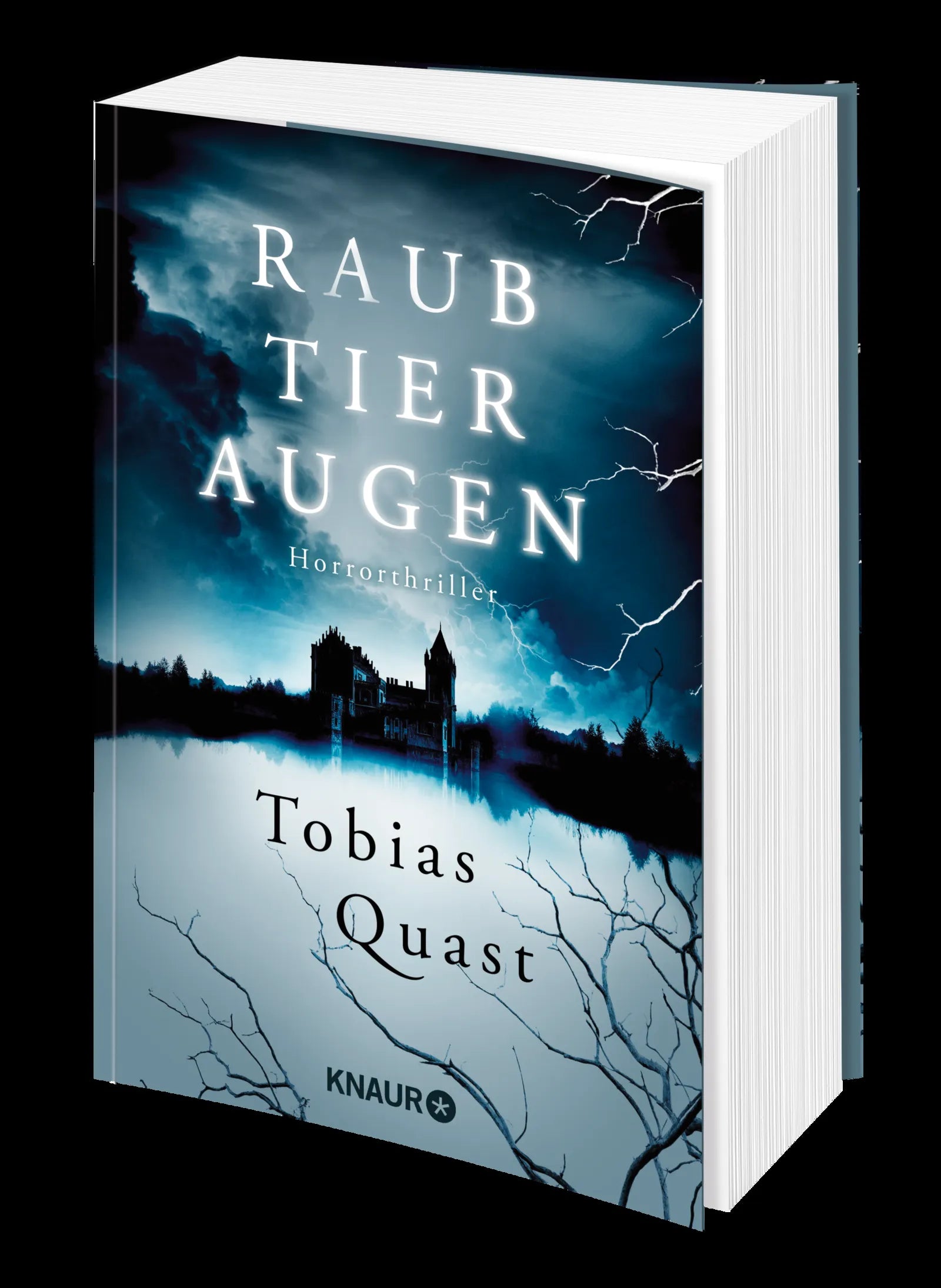 Produktansicht: Raubtieraugen (Paperback)