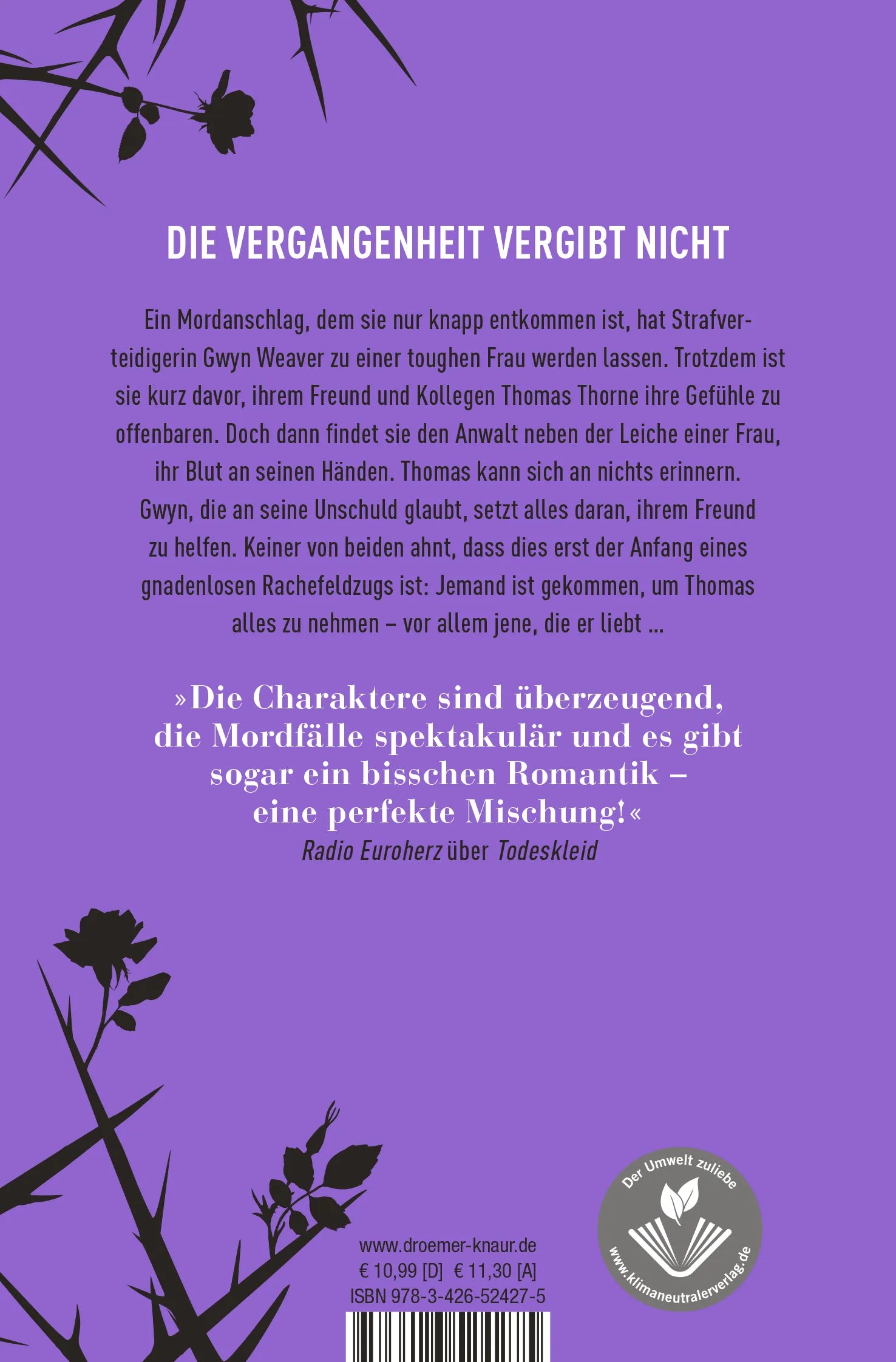 Buchrückseite von 'Todesnächte' mit Klappentext - Taschenbuch