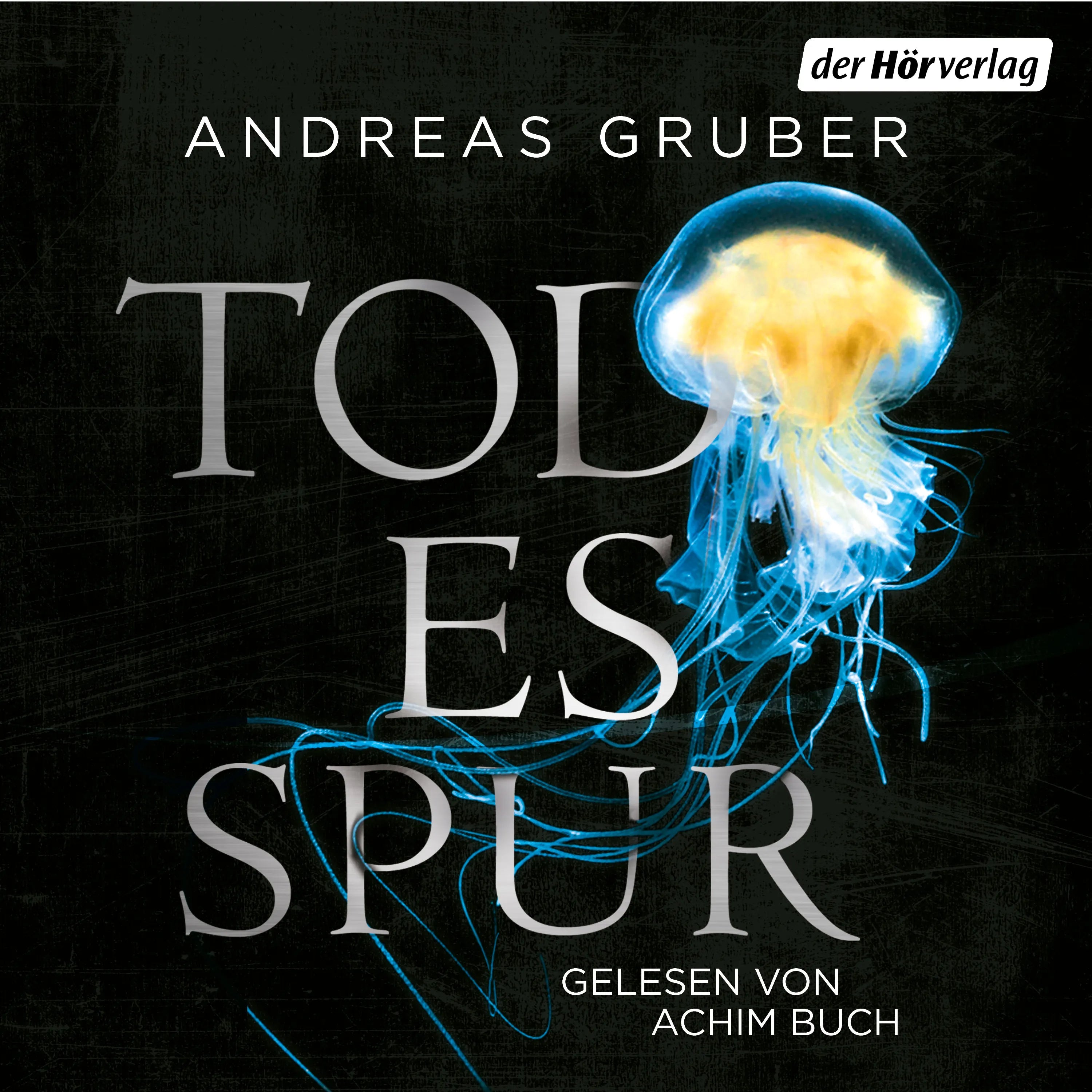 Cover: Todesspur (Hörbuch Download) von Andreas Gruber