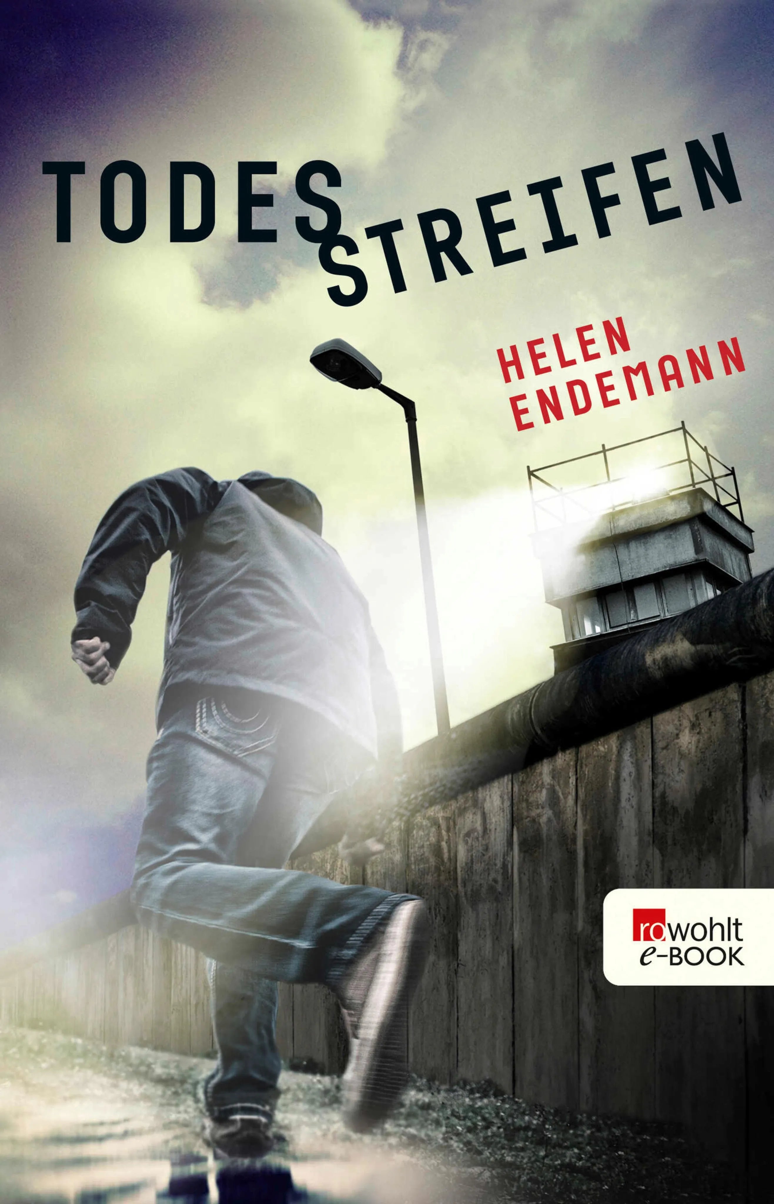 Cover: Todesstreifen (E-Book) von Helen Endemann
