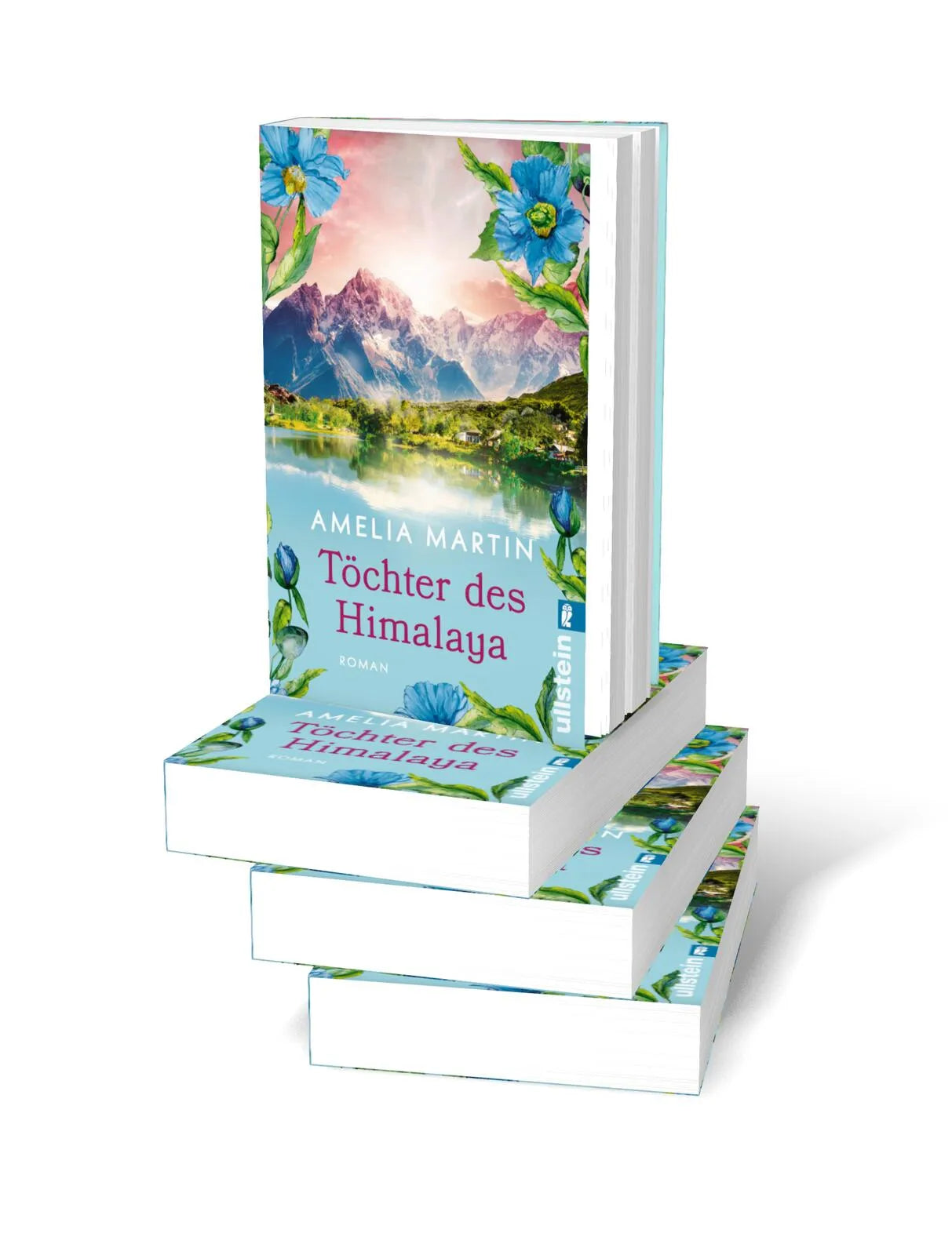 Produktansicht: Töchter des Himalaya (Taschenbuch)