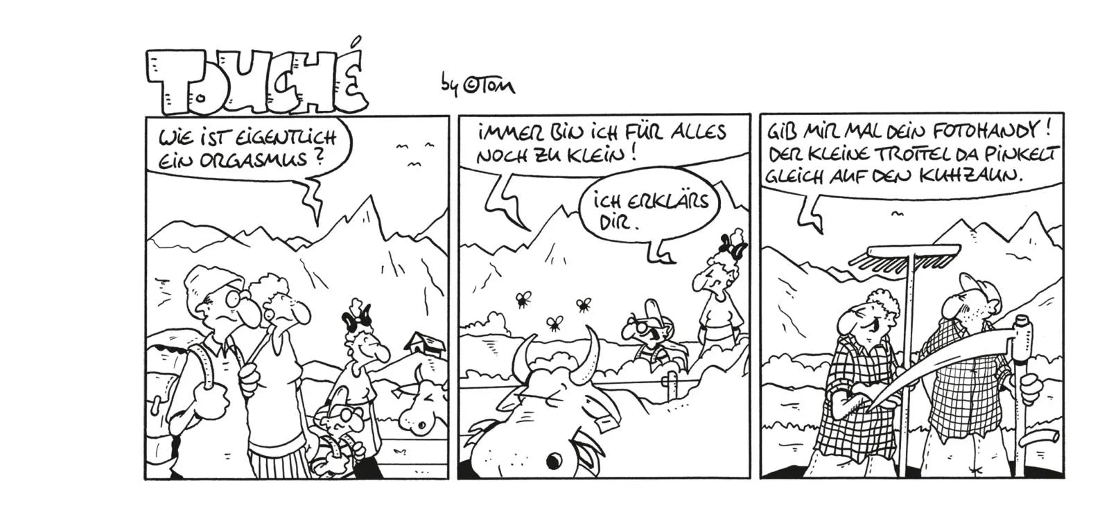 Produktansicht: Tom Touché 6000 (Taschenbuch)