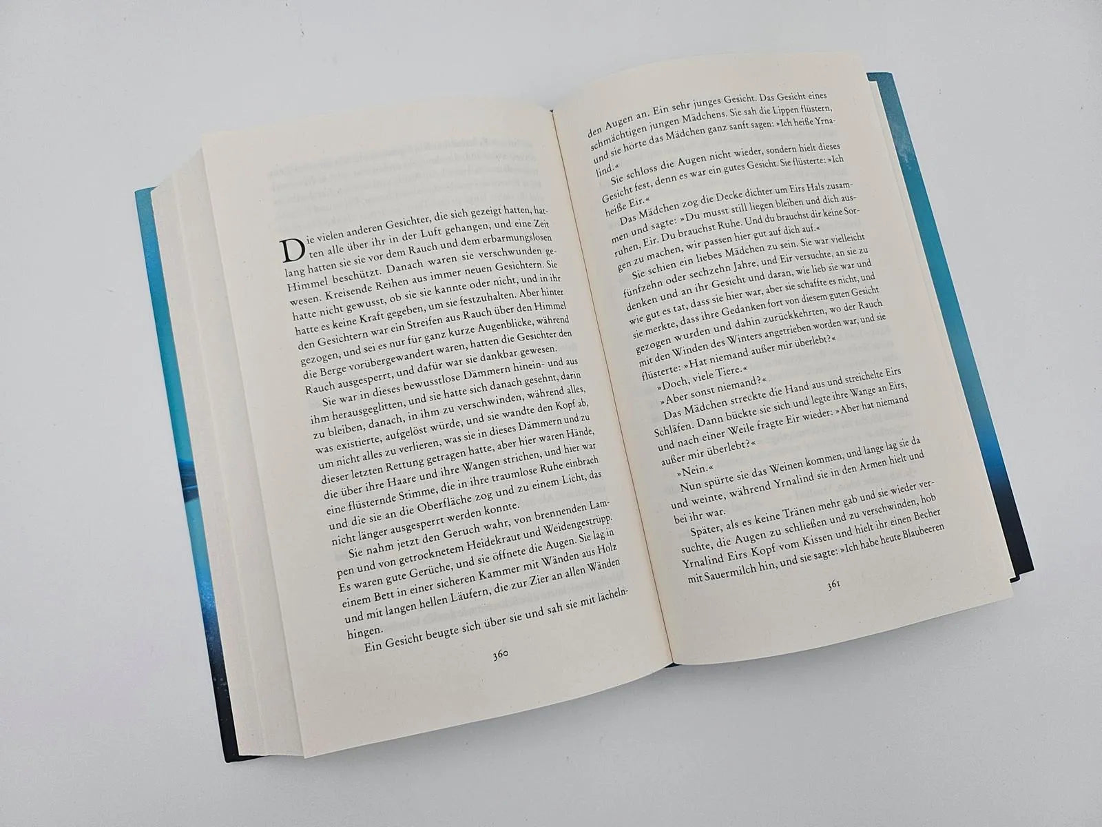 Produktansicht: Eisiges Land (Gebundene Ausgabe)