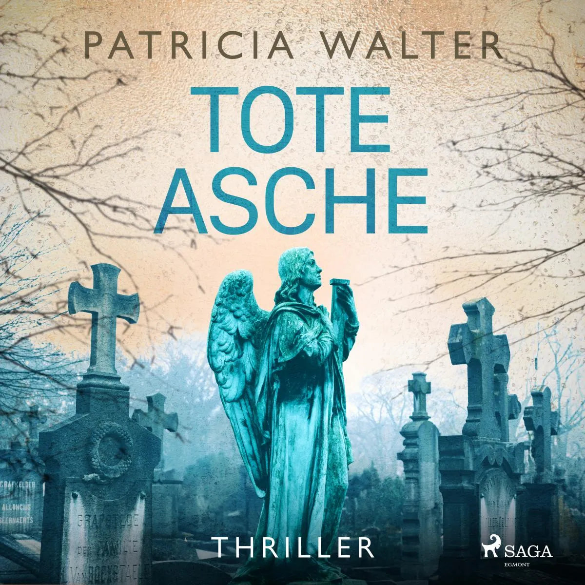 Cover: Tote Asche (Hörbuch Download) von Patricia Walter